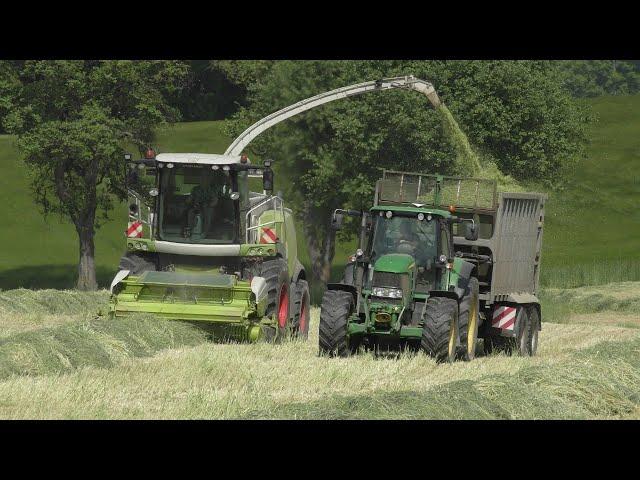 Grünroggen häckseln 2023 | Claas Jaguar | Case | John Deere | Steyr