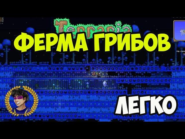 Террария ФЕРМА ГРИБОВ (2024) | Террария Ферма Грибов (ЛЮБОЙ БИОМ) | Террария 1.4.4.x