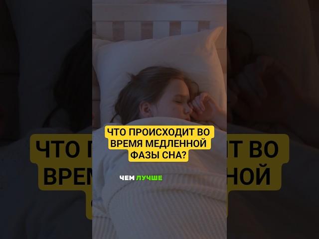 Что происходит во время МЕДЛЕННОЙ фазы СНА?