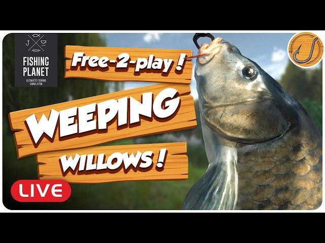 Catching MONSTER Carp (Free-2-play!) | Fishing Planet [LIVE]