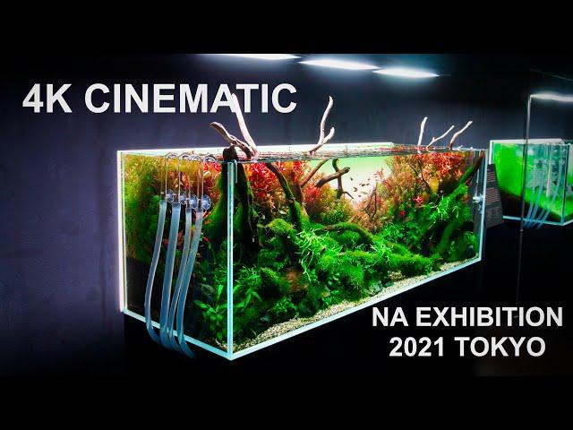 4K CINEMATIC - MASTERPIECES AT NATURE AQUARIUM EXHIBITION 2021 TOKYO - VIRTUAL TOUR