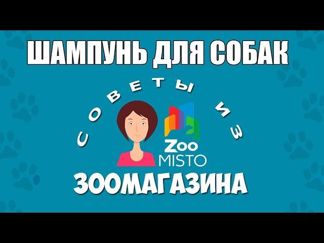 Шампунь для собак | Как правильно выбрать шампунь для собак | Виды шампуней | Советы из зоомагазина