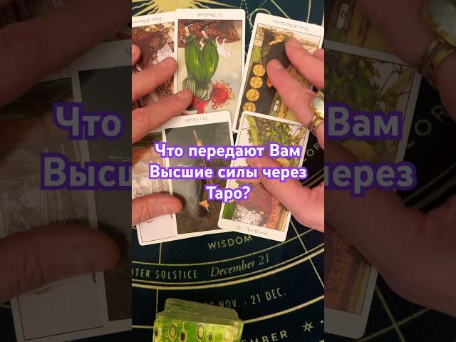  Что передают Вам Высшие силы через Таро? #гадания #таро #будущее #таролог #tarot