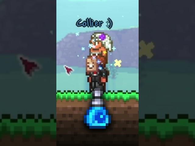 All of Terraria's Teleportation Items!