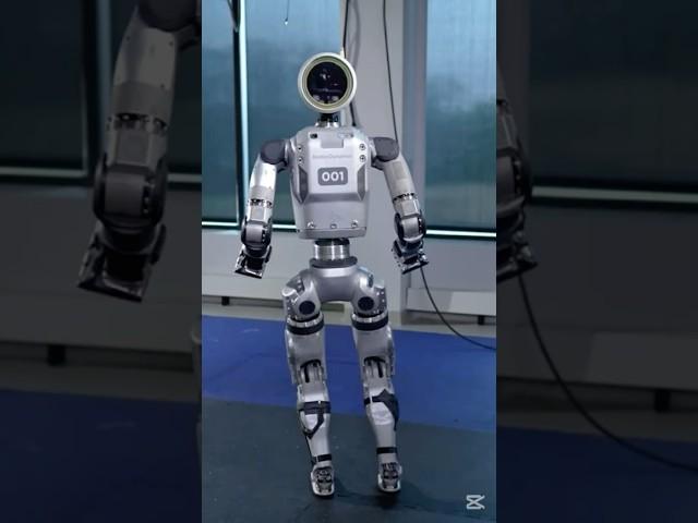 Atlas Robot's New Moves: Walk, Run, Crawl!