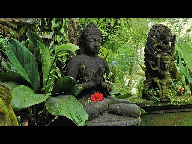 Buddha's Flute Music: Zen Garden 7