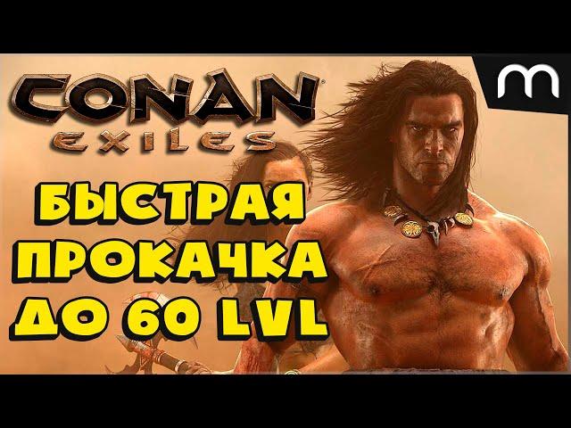 БЫСТРЫЙ СТАРТ ДО 60 УРОВНЯ Conan Exiles ПРОКАЧКА УРОВНЯ