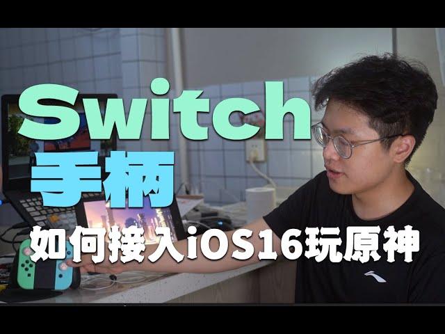 用Switch手柄在iOS上玩原神？