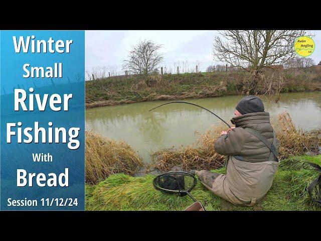 Simple Winter Small River Fishing inc. Watercraft, Swim Choice & Conditions - 11/12/24 (Vid 537)