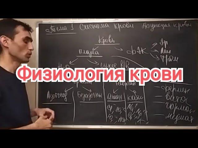 Физиология крови. Общая характеристика. Функция крови.#44