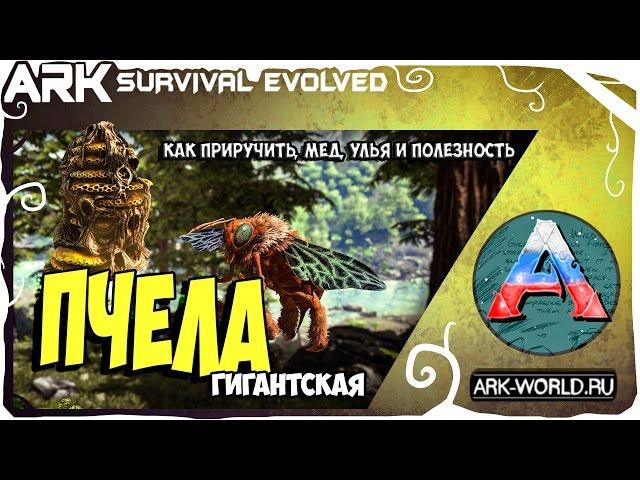 Гигантская ПЧЕЛА ARK Survival Evolved! Полный обзор! Приручаем Пчел для улья!