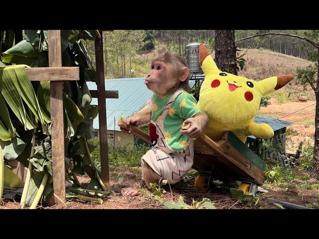 Why Smart Monkey Max clean up and leave the house 
