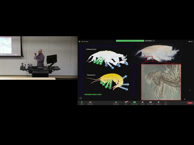 My Actual Science! - Ecology & Evolution Seminar at UMich