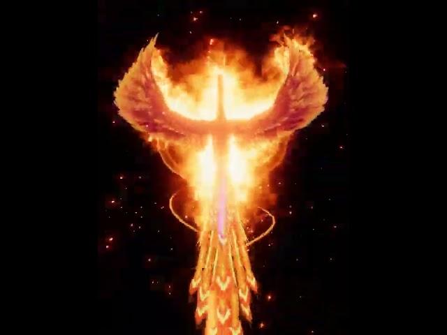 Phoenix 3d live animation gift