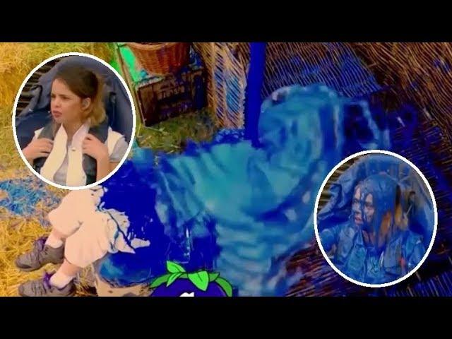 Cute contestant gets 3 blue gungings on Wild Things.