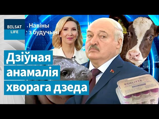 Двухгаловая карова ў Менску. Лукашэнка страціў здароўе пасля Масквы / Навіны з будучыні