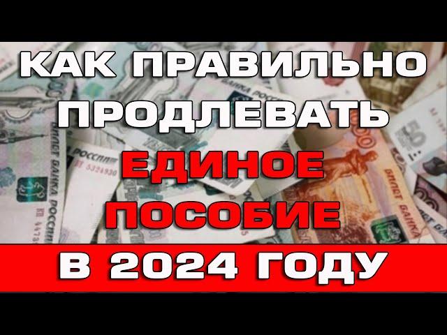 Как правильно продлевать Единое пособие в 2024 году