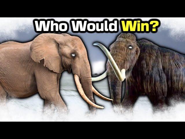 ELEPHANT vs WOOLLY MAMMOTH - Who Wins?