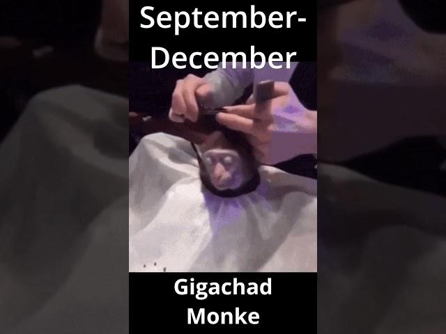 Your Month, Your Monke