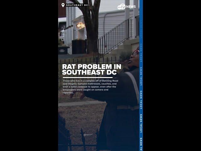 Piles of rodent-infested garbage surround overrun dumpsters at Southeast DC apartments