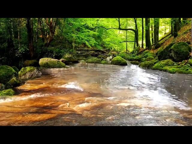 ЭНЕРГЕТИЧЕСКИЙ СЕАНС ИСЦЕЛЕНИЯ КОЖНЫХ ЗАБОЛЕВАНИЙ