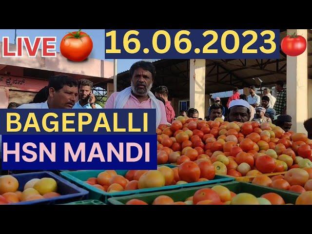 16.06.2023 bagepalli tomota market #bagepalli #tomatomarket #bagepalli # Bagepalli tomota market