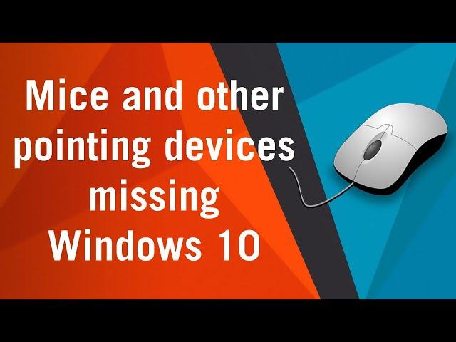 Mice and other pointing devices missing from device manager windows 10