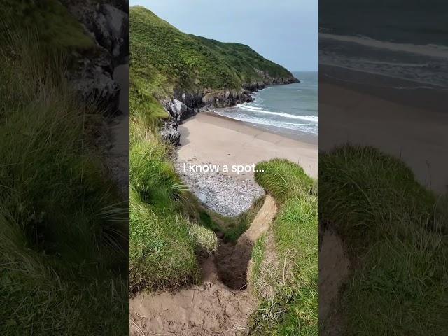 This was such a hidden gem  #hikerlife #coastalwalk #hikingpath #wales