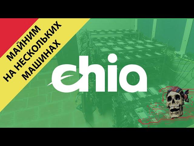 КАК МАЙНИТЬ CHIA НА НЕСКОЛЬКИХ МАШИНАХ