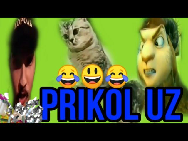 #Tiktok#telgram#kochajanglar#prikolar   энг зур узбек прикolar #11 uzbek prikol 2019