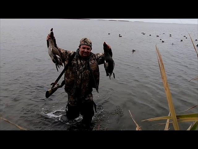 Охота на раскатах в Астраханской области, Фильм 3, Осень 2018, GoPro Hero 6, Duck Hunting Russia