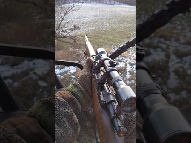 #deerhunting #deer 2022 Gun Season POV: Swedish Mauser & Chill