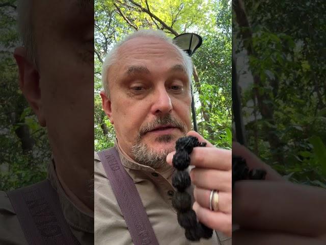 Рай а Земле. Святослав Дубянский в Таиланде и Индии #дубянскийкрийя #дубянскиймедитация