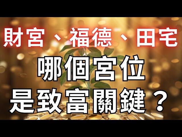 紫微斗數哪個宮位是致富關鍵?【財宮、福德宮、田宅宮】麥可大叔30年紫微斗數算命命理老師