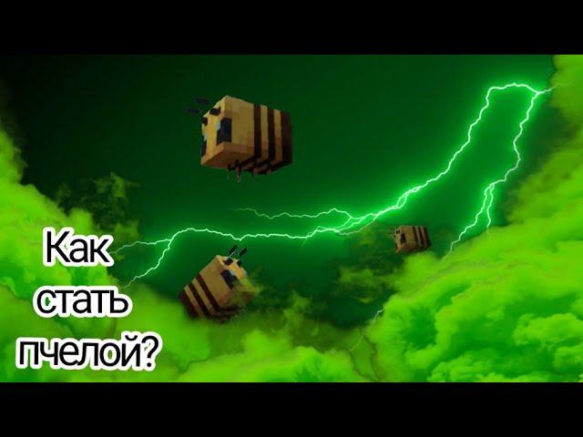 Показал как стать пчелой в маинкрафте 