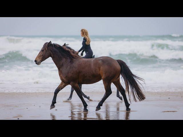 Rainy Day Horse Play in New Zealand