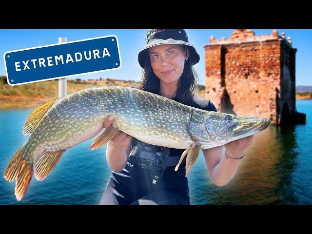 WE'RE FISHING PIKE IN SPAIN - What's the Cost of a Fishing Trip?