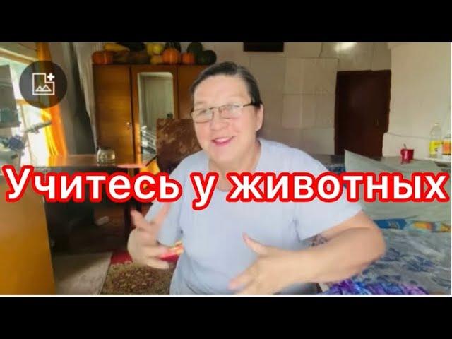 @Фильмы Елены Погребижской.Меня задевает один вопрос-''почему сразу не ушла?''