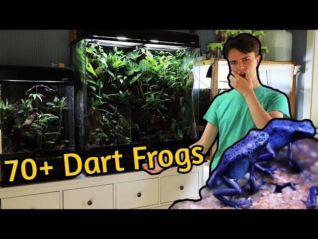 Complete Frog Room Tour - 2023 Edition