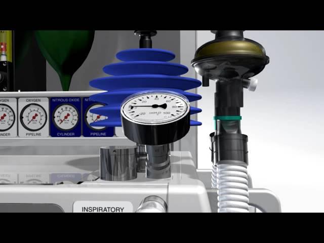 Animation of the Universal Anaesthesia Machine and Ventilator