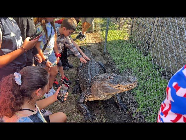 A Unique, Hands-on Educational Experience at Kowiachobee Animal Preserve in Naples, FL