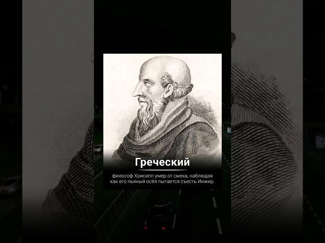 Греческий философ умер от смеха #факты #интересныефакты #факт