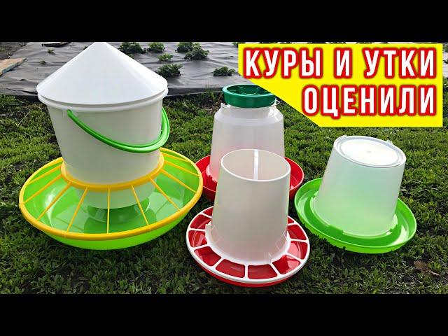 Какие кормушки и поилки выбрать для ПТИЦЫ ? Лучшие бункерные кормушки для Кур и Мускусных уток