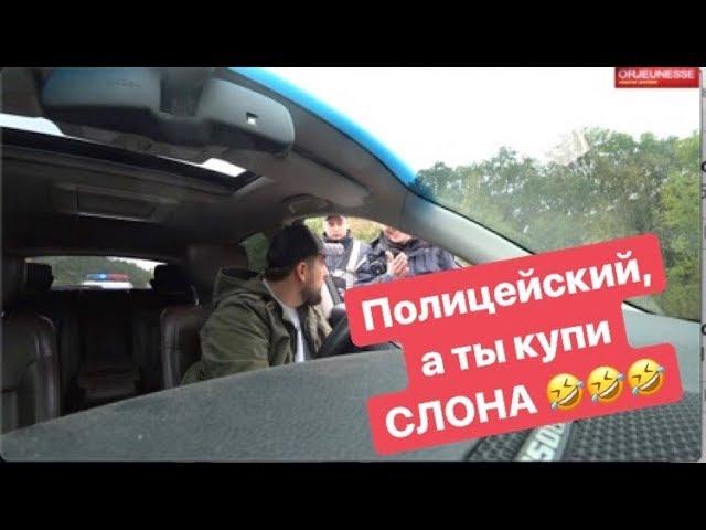 Полицейский а ты купи слона