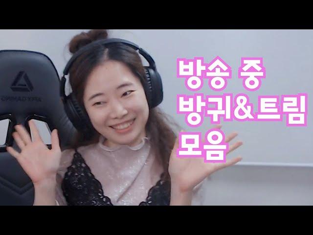 방송 중 방귀랑 트림 막 하는 엽캠  ※소리주의※ fart sound