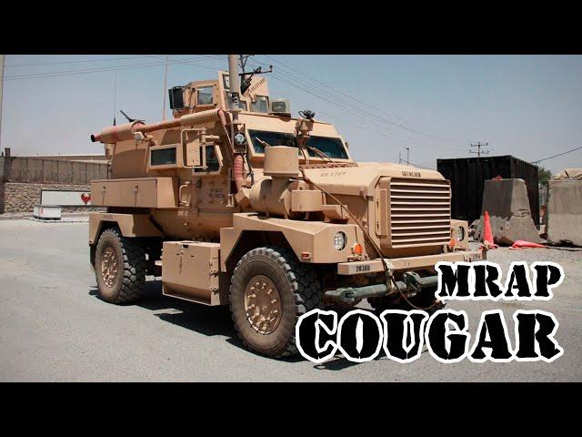 Американский MRAP Cougar || Обзор