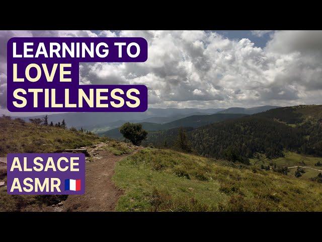 Learning to Love Stillness | ASMR Nature Hike in Alsace 4K