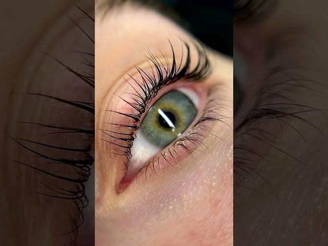 #сыктывкар #lashes #эжва #lashextensions #ламинированиересниц #ресницы #lash #beauty #лами