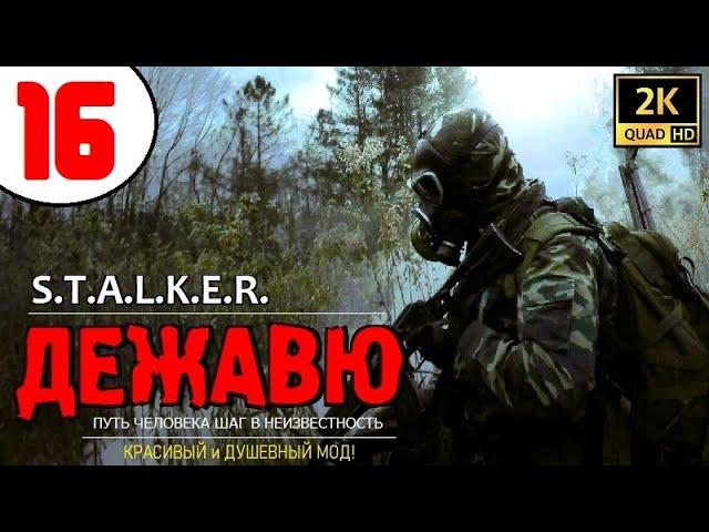 S.T.A.L.K.E.R. ДЕЖАВЮ  #16 КОГОТНИК ЧЁРНЫЙ, ТАЙНИКИ КЕГЛИ и АЛЕНЬКИЙ ЦВЕТОЧЕК!