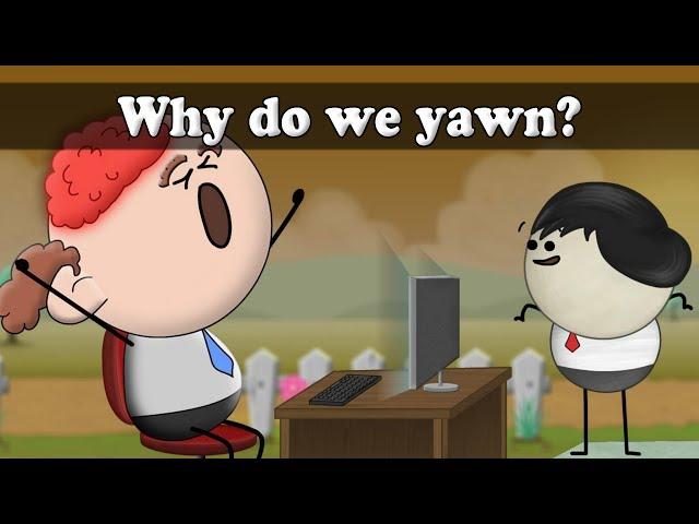 Why do we yawn? | #aumsum #kids #science #education #children